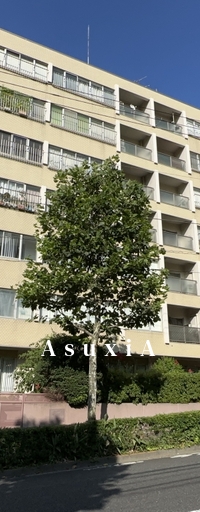 シーアイマンション高輪