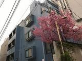ハーベストハウス円山 801 トップ画像