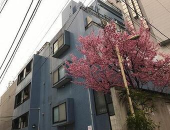 ハーベストハウス円山