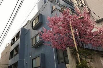 ハーベストハウス円山の外観