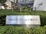 セルリアンホームズ勝どき 7階 706