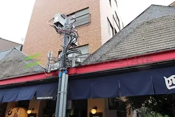 リノスタイル月島の外観