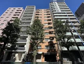 駒込サマリヤマンション