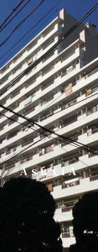 月島四丁目住宅