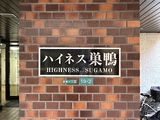 ハイネス巣鴨 8階