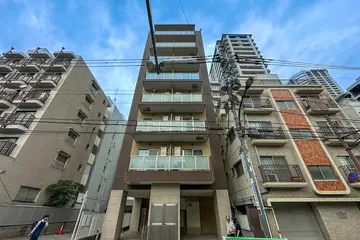 リブリ・Platinumの外観