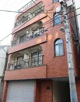 クラウンハイツ