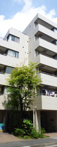 ラヴィーナ門前仲町