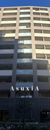 グレースレジデンス東京