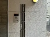カモミール赤坂
