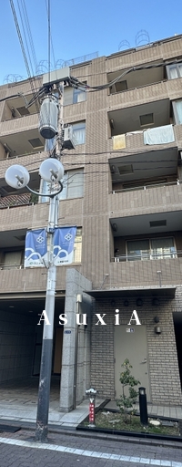 プランシェードメイツ白金