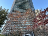 シティタワー品川