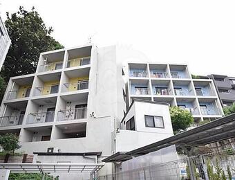 目白おとめ山テラスボックス