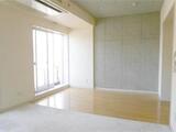 カスタリア西麻布霞町 1階 105