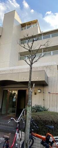 エコーマンション