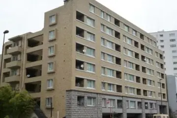レジオン白金クロスの外観
