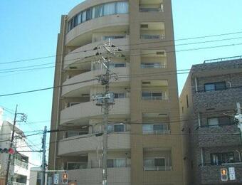 セトルオクサワ