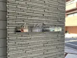 ノールお茶の水
