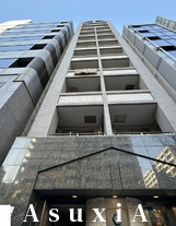 カスタリア新富町Ⅳ