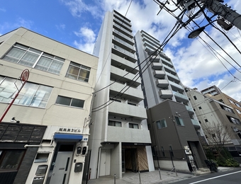 SYFORMEJIMBOCHO