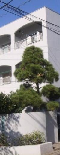 ホワイト学芸大