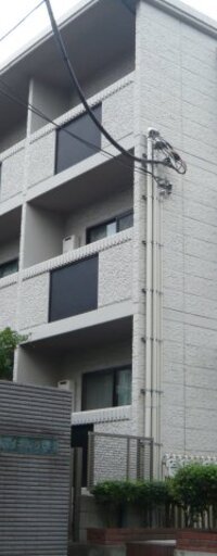 マイネルラウムタカバン