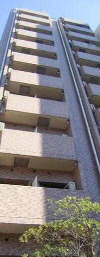 日神パレステージ護国寺