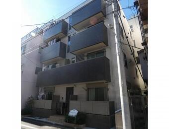 Maison Blanche メゾンブランシュ