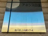アネシス白金
