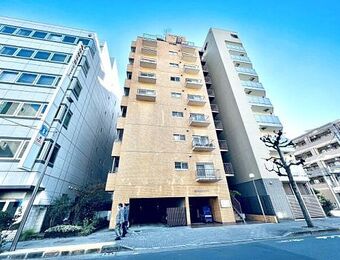 ライオンズプラザ亀戸