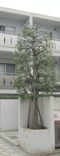 フラックス代々木公園