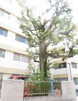 初台マンション