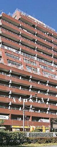 ライオンズマンション歌舞伎町