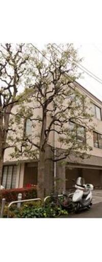 南青山コートヒルズ