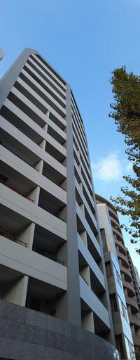 ラヴォーグ南青山