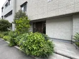 ユーカリプタス目白台