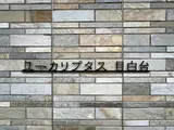 ユーカリプタス目白台