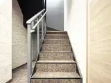 セレッソ浅草