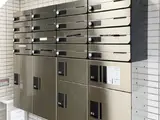 ピノヴェルデ