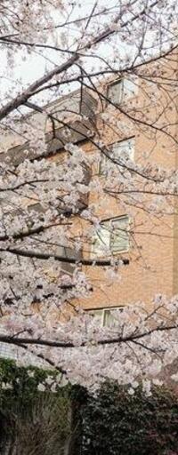 クレヴィア品川中延