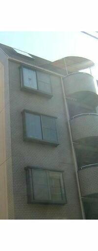 ハイネスオオネダ