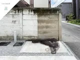 トリコ大塚 B棟
