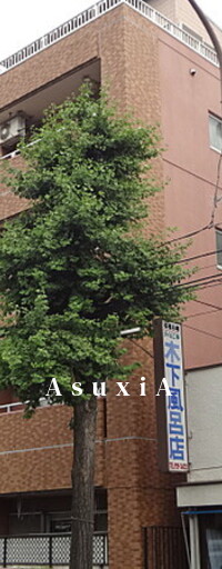 三源ビル