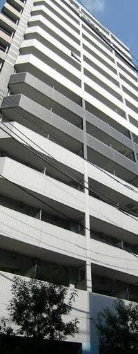 メインステージパーク大山