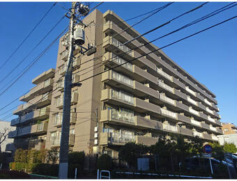 ライネスハイム志村
