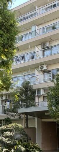 メタセコイヤマンション