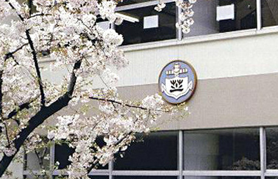 芝小学校
