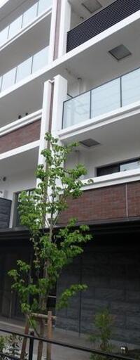 ロイジェント板橋本町