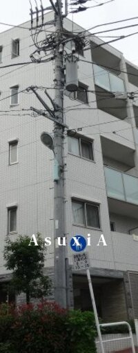 レヴィーガ大山