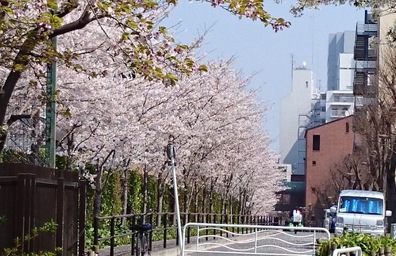 東陽中学校